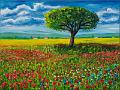 Mohnblumenfeld (79x59)